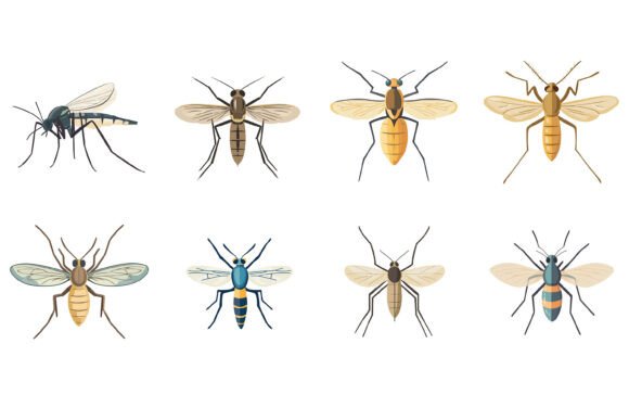 Mastering Visual Communication with a Comprehensive Set of Insect Illustrations